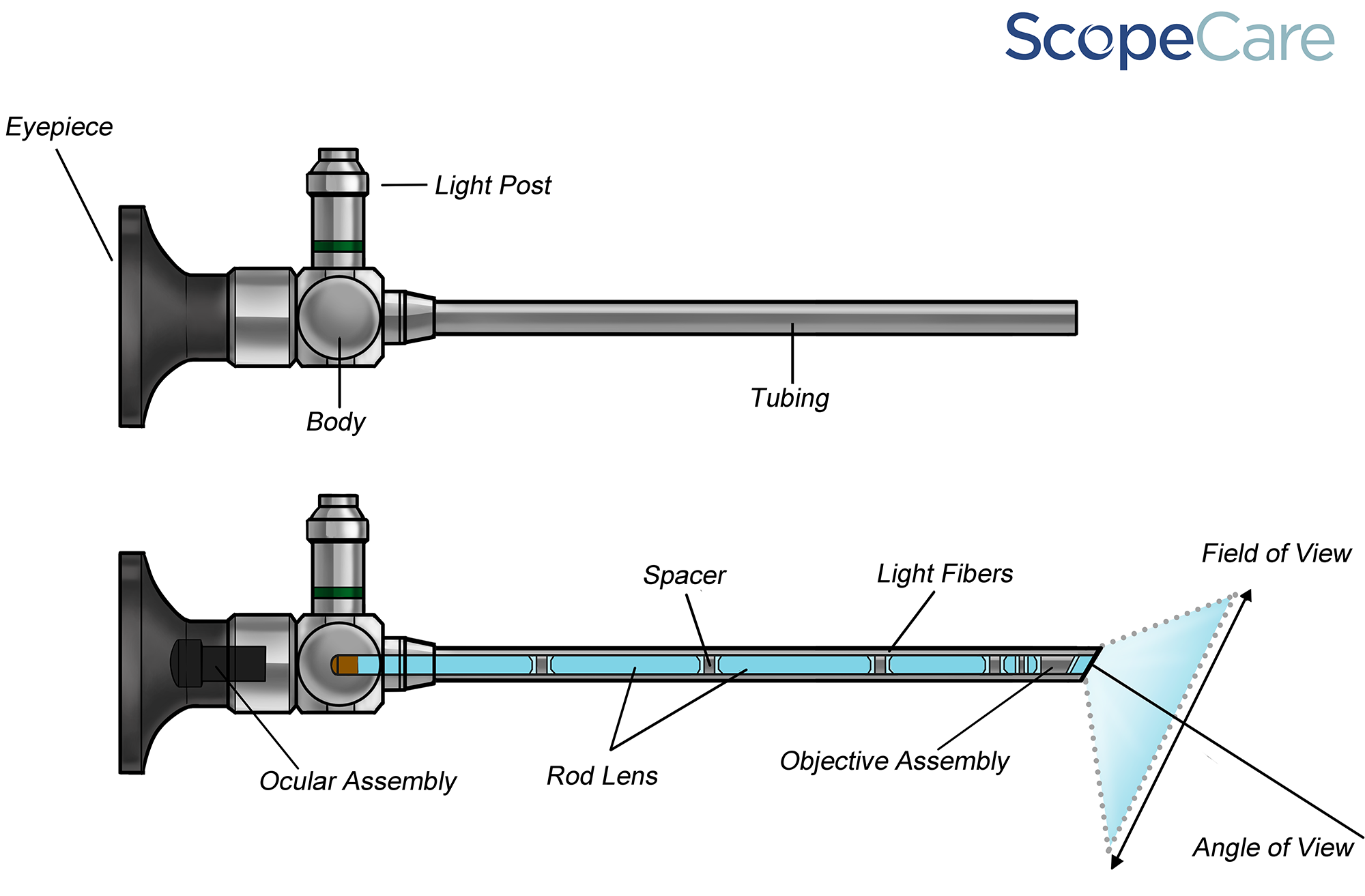 Ridged-Endoscope-Illustration.png Ridged-Endoscope-Illustration.png